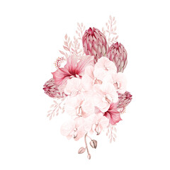 Watercolor pink tropical bouquet with Exotic flowers, orchid, protea, hibiscus and leaves. Illustration
