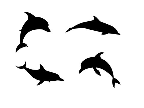 Vector Graphics Dolphin Clip Art Image Illustration for Free .EPS