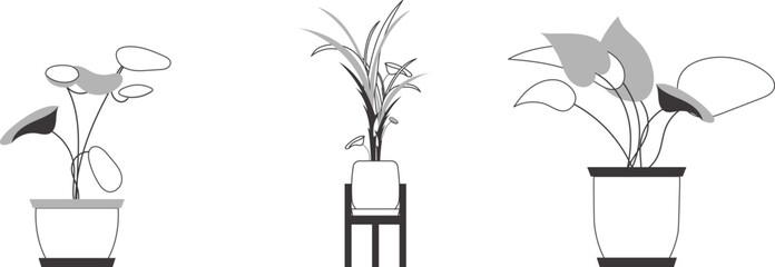 A set of indoor plants. Lineart minimalistic style. Isolated. Vector illustration.