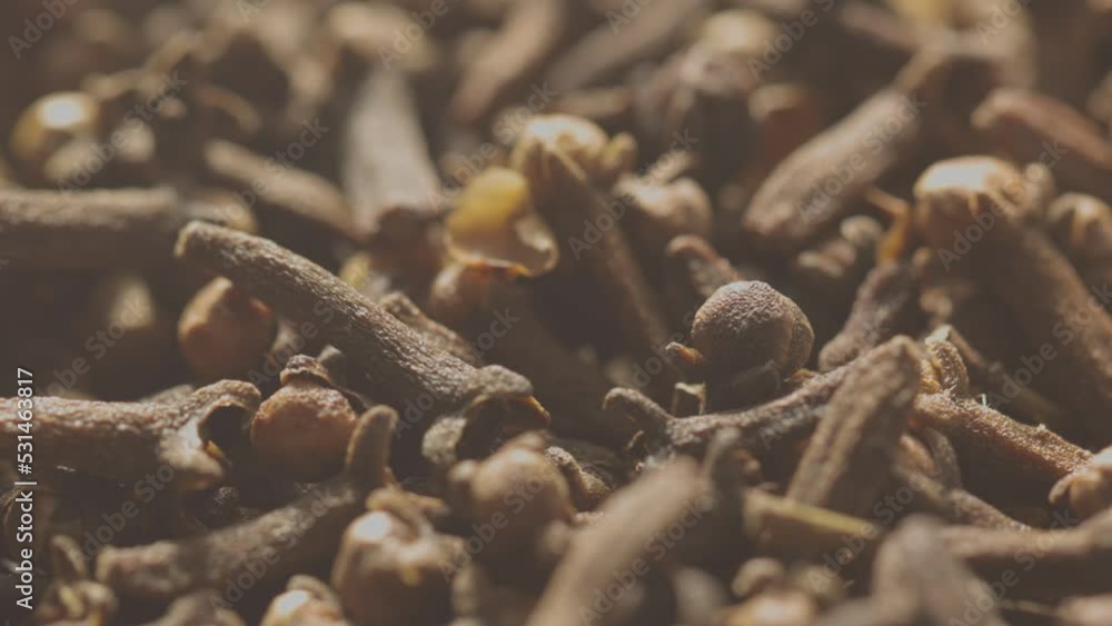 Poster dried cloves rotate in a circle. fragrant seasoning