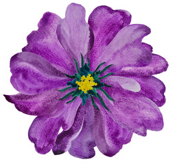 Watercolor purple flower. Floral clipart