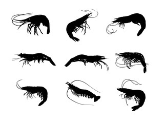 Shrimp Vector Vector Art and Graphics, Image Illustration for Free .EPS