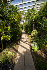 path in the garden