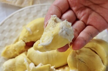 Hand Holding Fresh Ripe Durian