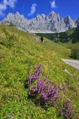 Wilder Kaiser; Kaisergebirge; Österreich; Tirol