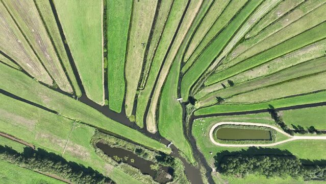 Loosdrecht recreational water river and meadow rural grass land green marsh in beautifull pattern small rivers and waters in nature. Dutch holland flat country side nature. Aerial drone.