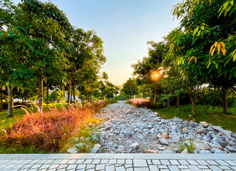 rain garden in the park | sunlight shines through the trees |  The dry detention pond | West...