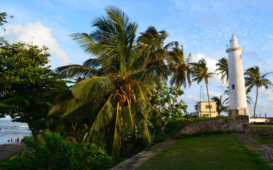 Family on a palm beach at Galle Dutch Fort, Sri Lanka