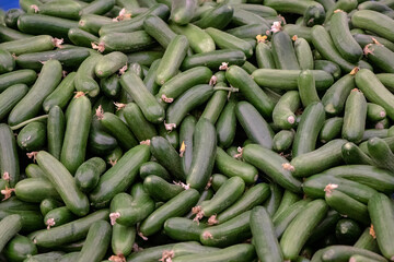 Cucumber - Fresh and organic vegetables at farmers market - Turkish Market