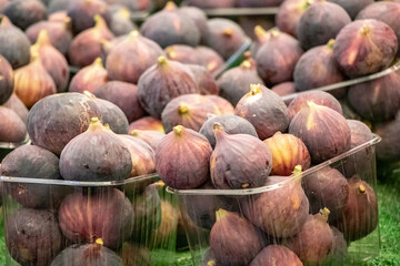black fig - Fresh and organic vegetables at farmers market - Turkish Market