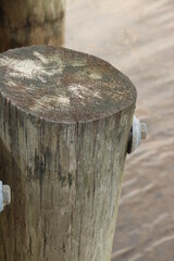 Obraz na płótnie Canvas wood sea post anchor