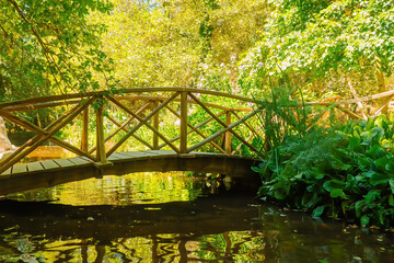 Wooden bridge across the river, on a sunny day. Beautiful landscape in the natural park