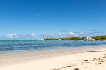Fototapeta na wymiar Bavaro beach in sunny day with calm ocean and white beach, Dominican republic