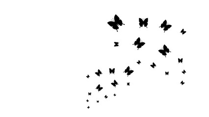 Abstract Black Line Silhouette Butterfly Butterflies Insects Bugs Vector Icon Nature Design Style Decoration Cartoon Background Isolated