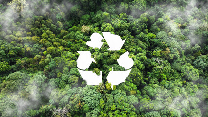a recycling symbol in the middle of a beautiful untouched jungle.