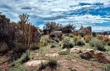 Shore of Lake Titicaca in Peru.