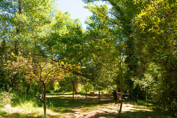 Ruta botanica del rio Ebrón en Teruel