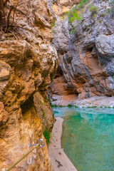 Ruta botanica del rio Ebrón en Teruel