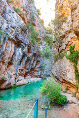 Ruta botanica del rio Ebrón en Teruel