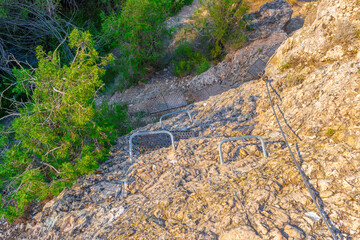 Ruta botanica del rio Ebrón en Teruel