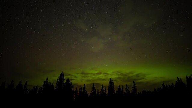 Clouds move in front of spectacular Aurora in a star filled sky over a forest of evergreen trees.
