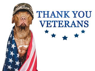 Thank You Veterans. Lovable, pretty brown puppy and American Flag. Closeup, indoors. Studio shot. Congratulations for family, relatives, loved ones, friends and colleagues. Pet care concept