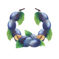 Set of watercolor plum tree branches with green leaves and fruits.