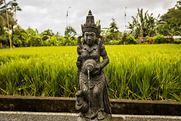 Goddess Statue in Bali indonesia garden with rice field background. Garden statue pouring water in...