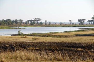 Fototapeta na wymiar River in the Katavi park in Tanzania, East Africa