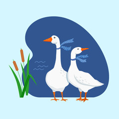 Two white goose in polka-dot scarves against blue lake and reeds. Illustration of cute farm animals for kids. Vector cute illustration with geese. Poster for children's room decor.