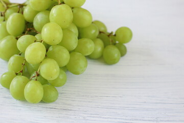 Green bio grape branch