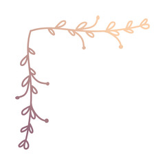 botanical foliage plant corner border