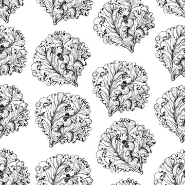Lettuce seamless pattern. Hand drawn background. Vector illustration. Hand drawing sketch illustration. Lettuce leaf hand drawn backdrop.