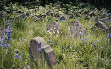 Hidden Victorian Pet Cemetery