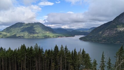 The working forest in British Columbia