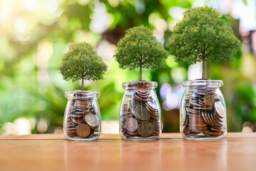 Plant money coins saving growth up to profit interest for concept investment mutual fund finance...