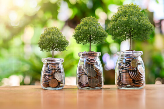 Plant money coins saving growth up to profit interest for concept investment mutual fund finance and business
