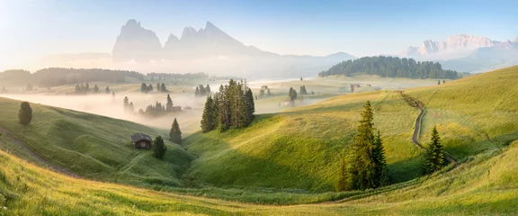 Seiser Alm oder Seiser Alm, Dolomiten Alpen Langkofel und Plattkofel, Trentino Alto Adige Sud Tirol, Italien, Europa © Michal