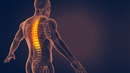 Human spine Pain 3D illustration - obrazy, fototapety, plakaty
