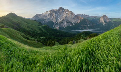 Summer view of Marmolada (Punta Penia), the highest peak in Dolomites, Italy. Alpine landscape of Dolomiti with a view of a glacier on Marmolada and beautiful green meadow with yellow flowers. - obrazy, fototapety, plakaty