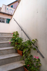 flowers on stairs liguria italy