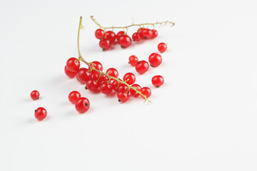 red currant on a white background, scattered currant buds on a white background. Currants on a white background