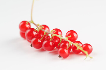 red currant on a white background, scattered currant buds on a white background. Currants on a white background