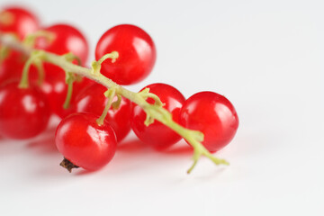 red currant on a white background, scattered currant buds on a white background. Currants on a white background