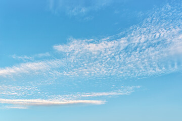 Light translucent cirrocumulus clouds high in the blue sky. High clouds of rarefied altitudes. Weather forecast and meteorology concept. Background of sunny summer cloudscape. Full frame.