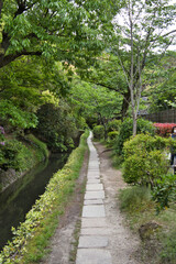 Fototapeta na wymiar A view of the Path of Philosophy in springtime. Kyoto Japan 