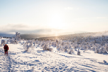 Fototapeta premium Winter landscape in Pallas Yllastunturi National Park, Lapland, Finland
