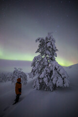 Northern lights in Pallas Yllastunturi National Park, Lapland, Finland