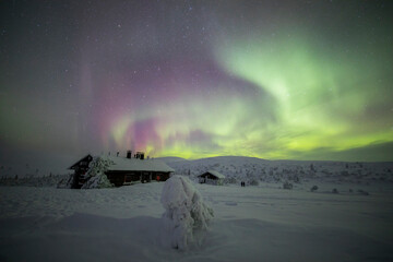 Fototapeta premium Northern lights in Pallas Yllastunturi National Park, Lapland, Finland