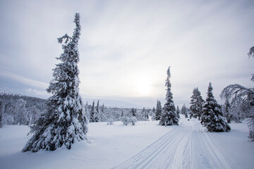 Winter landscape in Pallas Yllastunturi National Park, Lapland, Finland